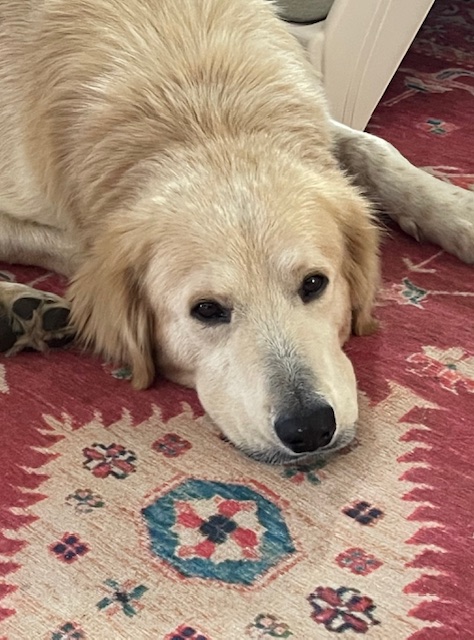 Augustus "Augie"
